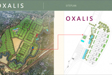 Brosur Oxalis Kami Realty_009