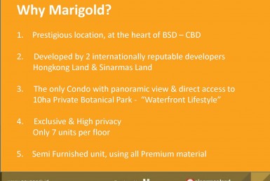 Ebrosur Marigold T3_Page_24