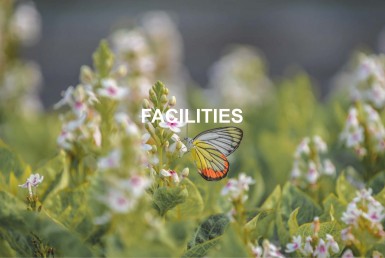 220104 - PK - RUKO_Page_02